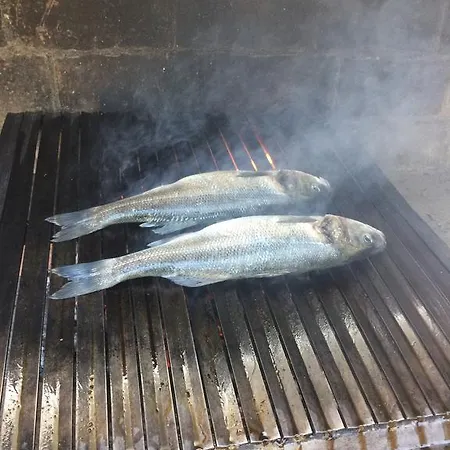 Dujmović Vir